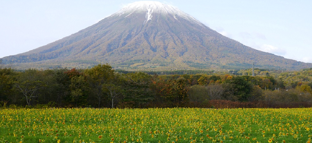 �����̃p���[�X�|�b�g�k�C���E�r���R�I�����炵�������ߗ������n�������悤�I