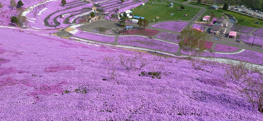 ōsN̋uIkC󒬁uЂƎōv
