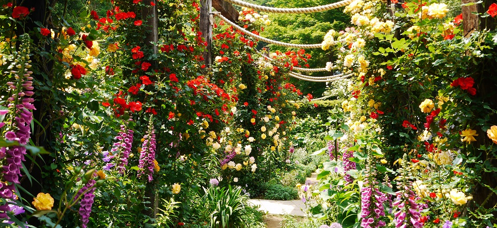 oɐ܂MCόIẮuAJIn[u&[YK[fv