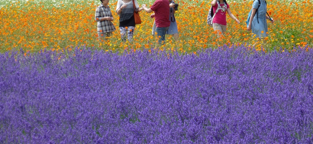 ���x���_�[�ȊO�ɂ��y���݂����ς����x�ǖ�u�t�@�[���x�c�v