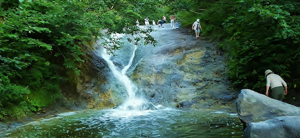 �k�C���̔鋫�A�m���̐_��I���򂪗����J���C���b�J���̑�