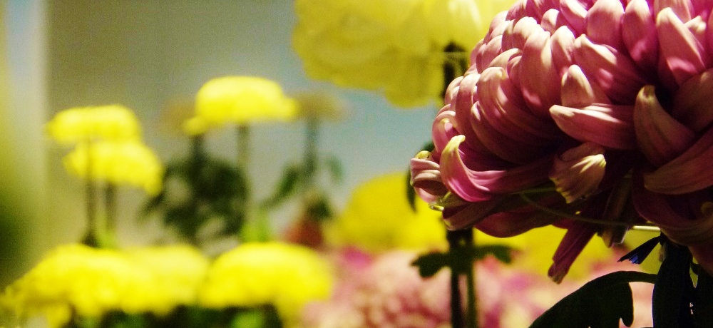 ӏH̃`EJEzʂẻԁIuۂe܂v