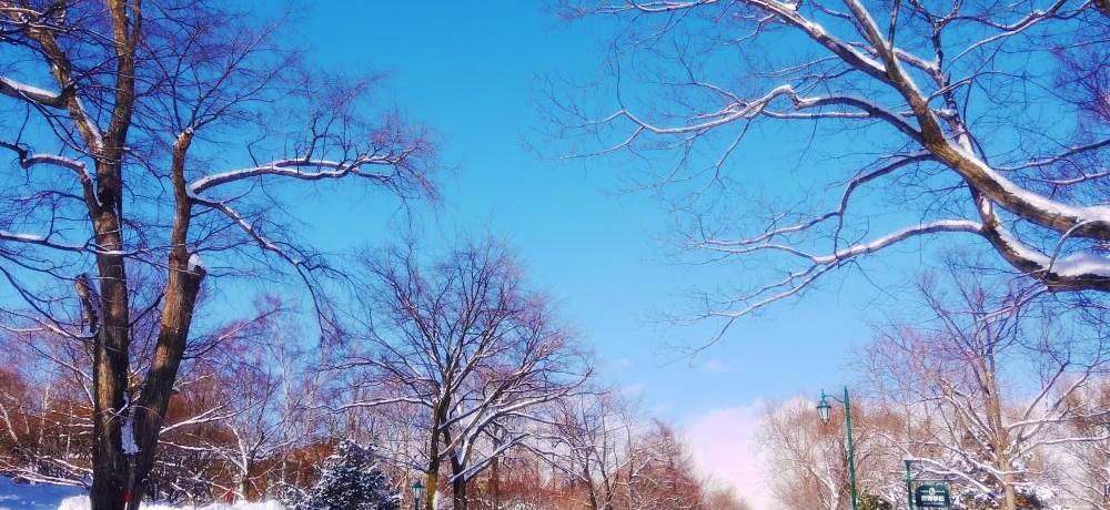 ʂ̋␢EɊI~́ukCwv֗Vтɍs!!