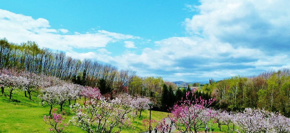 1200{̔~тƏtgtIkCDysu~сv