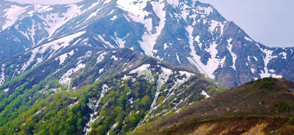 EJx̑厩RɐG闷IQnu㉷򋽁vό