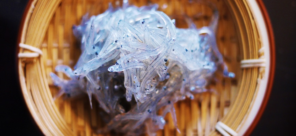 lʓ{ImEŐHׂi炷3I