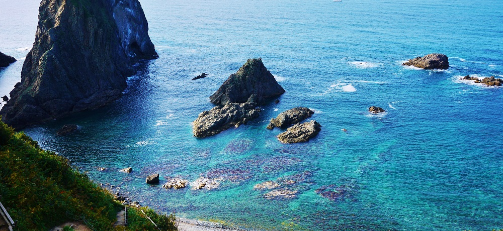 gl𔲂ƐϒOu[̐iIkCuӊC݁v