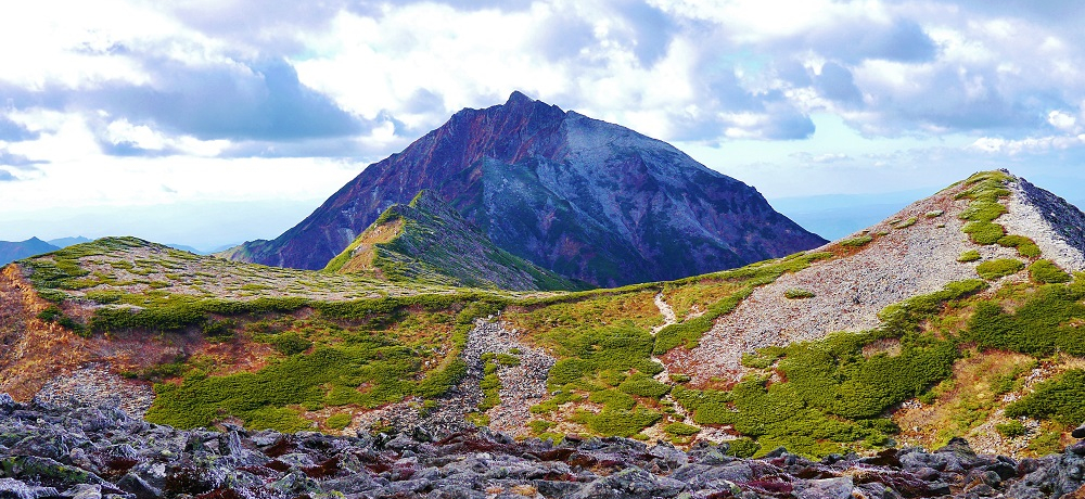 �k�C���������ނ���Ǎ��̏G��u�j�y�\�c�R�v�̔ӏH�o�R