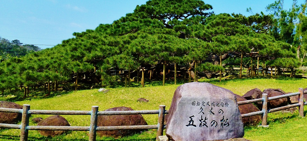 ����250�N�]�A�V������̗������I���ꌧ�v�ē��u�܎}�̏��v