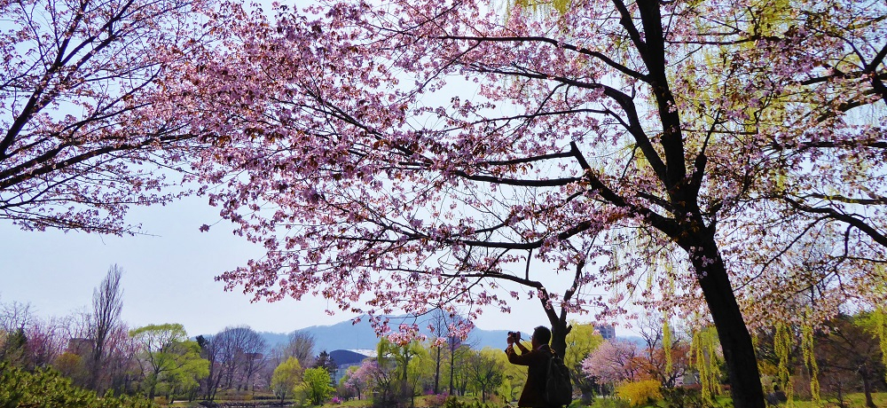 GW͍Fɐ܂k̑nցIDysԌX|bgTI