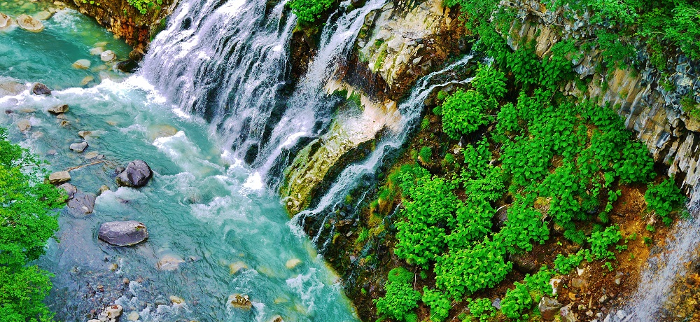 ̐_IkClRogu[̌kƔЂ̑