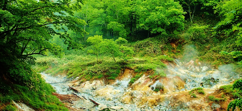 �����ΔȂɋ����n���n�̌ۓ��u�{�b�P�v�����R�V���������