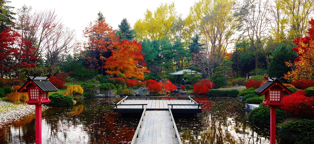 E̒뉀ōgtϏ܁IHDysuSv