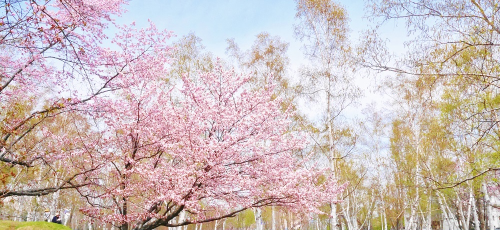 ƃJ^N炭Dy̏tIkC^łԌU