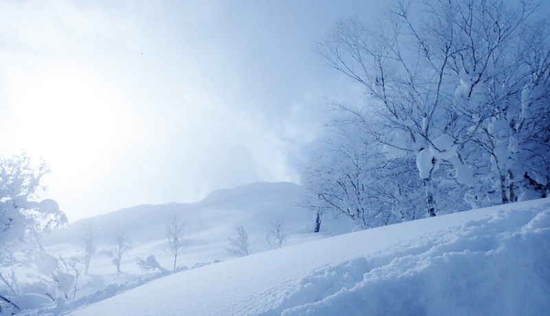 ␢EI~̖kCERkuRvŐRoR