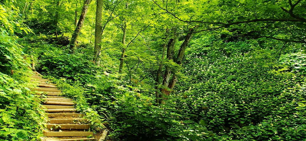 360xDy̑pm}҂ĂIeqœo鑔RoR