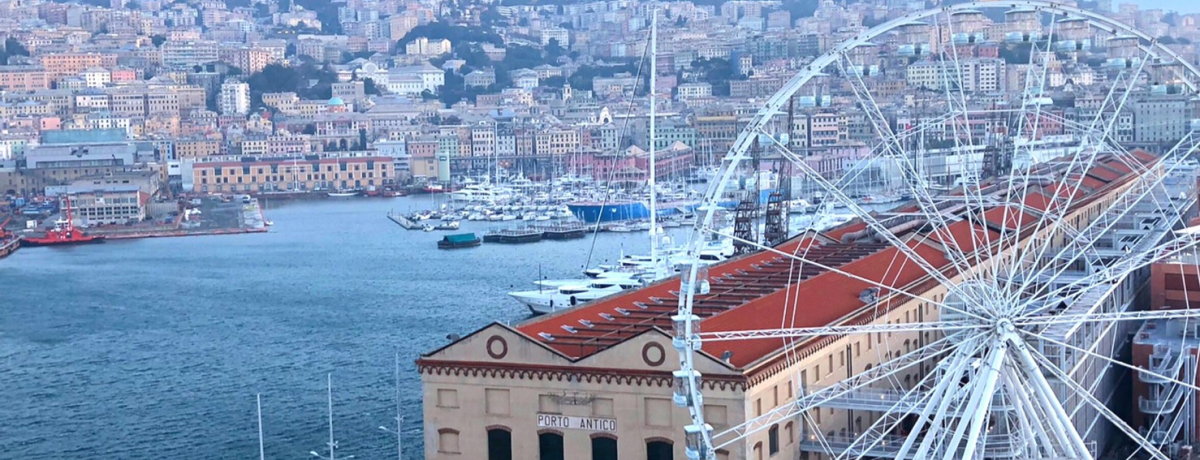 ȂăwItXŌÂ̍`}ZC̕KόX|bg