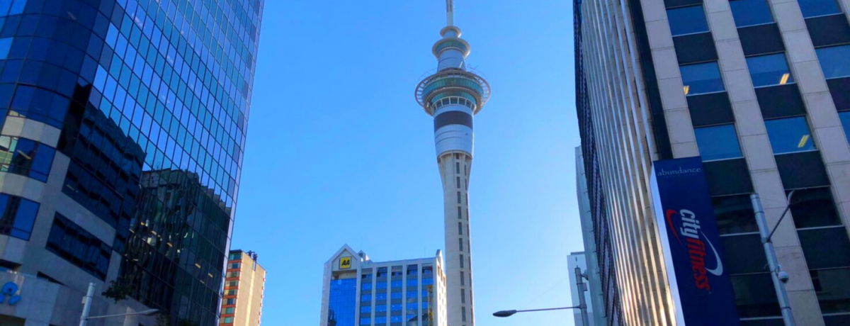 NZ�I�[�N�����h�̃V���{���u�X�J�C�E�^���[�v��O��K�C�h�I