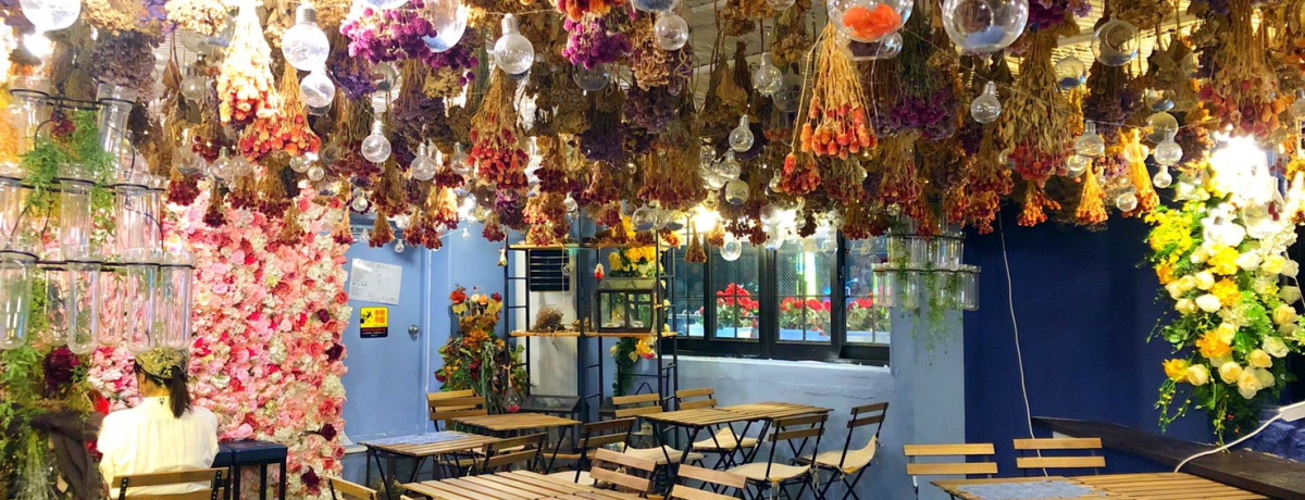 ؍\EŐ΍sIV[ʃIXXJtF5I