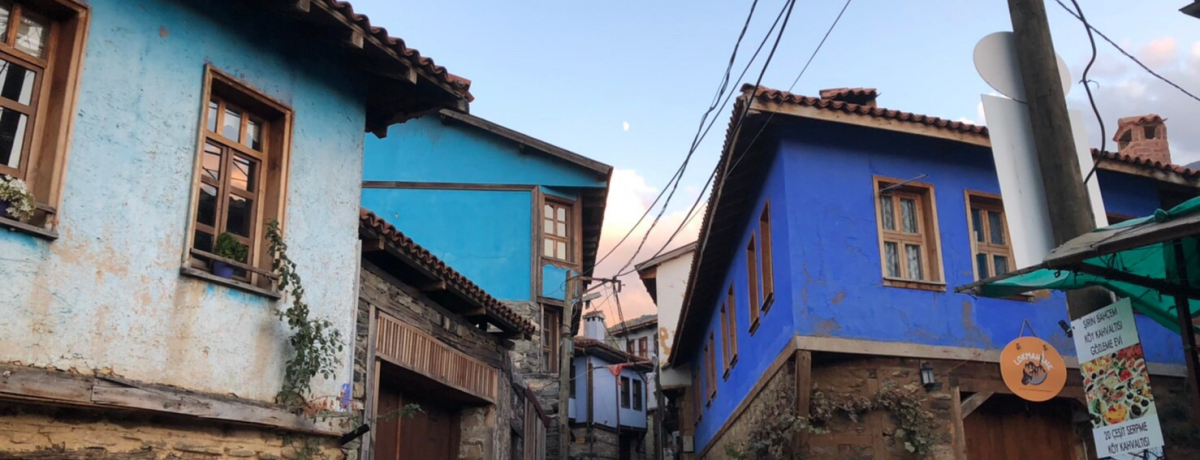 gR̐EYgÓsuThŐ΂ɊOȂ߃X|bg