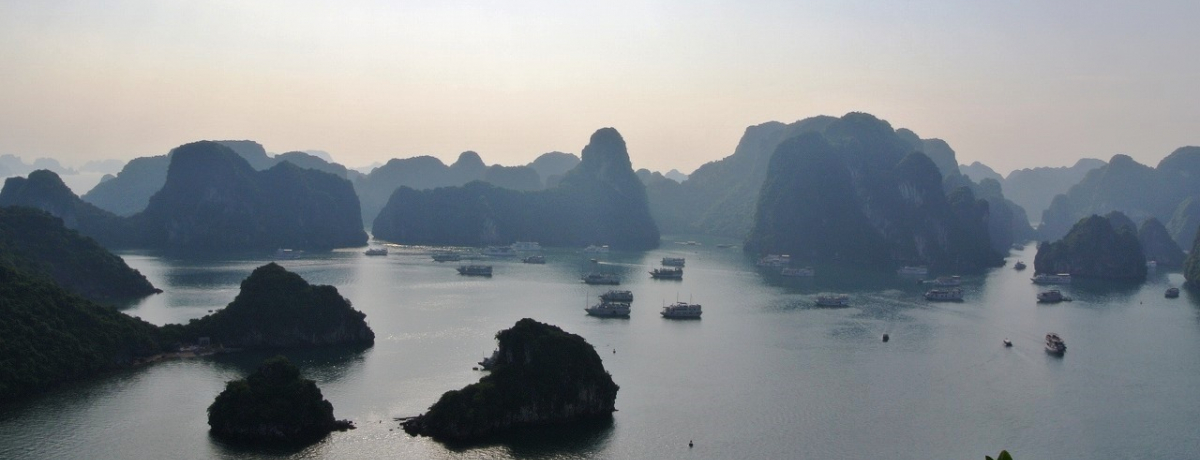 �x�g�i���̐��E��Y�E�n�����p��1��2������y�N���[�Y