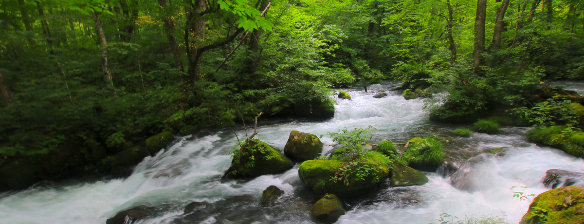 ΈkiOI܊ŉE\ac΂𖞋i