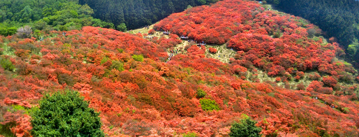 �R��ɍL����c�c�W�̐��O�~�I��a����R�֏t�o�R