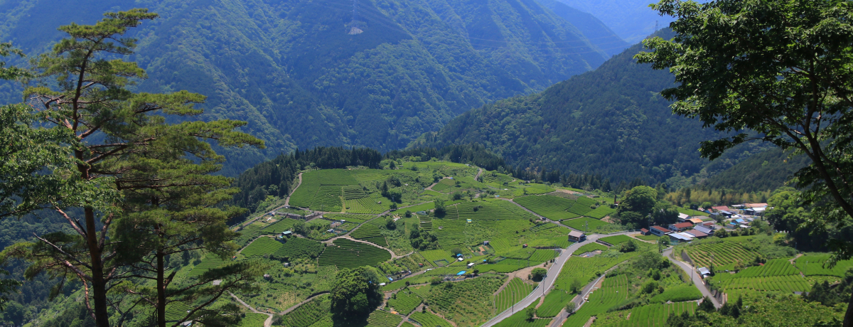 K쒬̑厩RɘȂށg򕌂̃}`s`hV̒