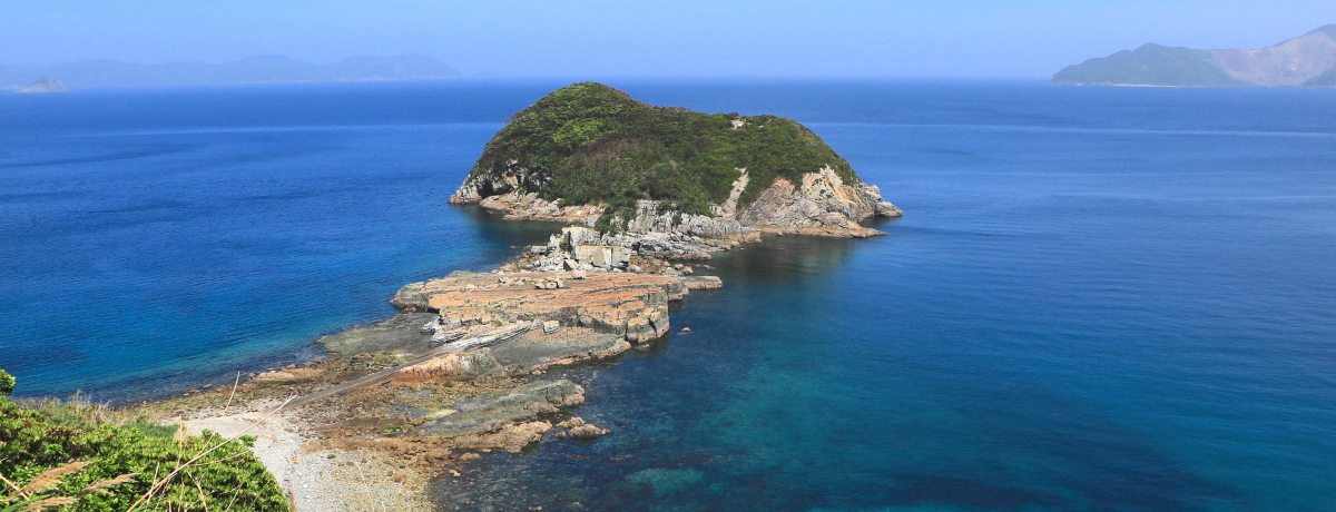 ܓw̐iIޗñV[TChHƁuޗ~v