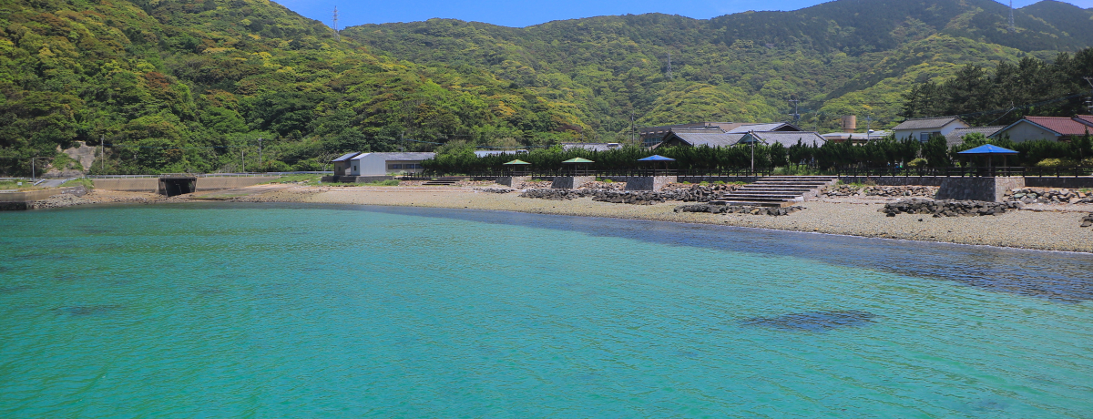 \l\F̊C̐FIuܓ񓇁vir[`̂܂Ƃ