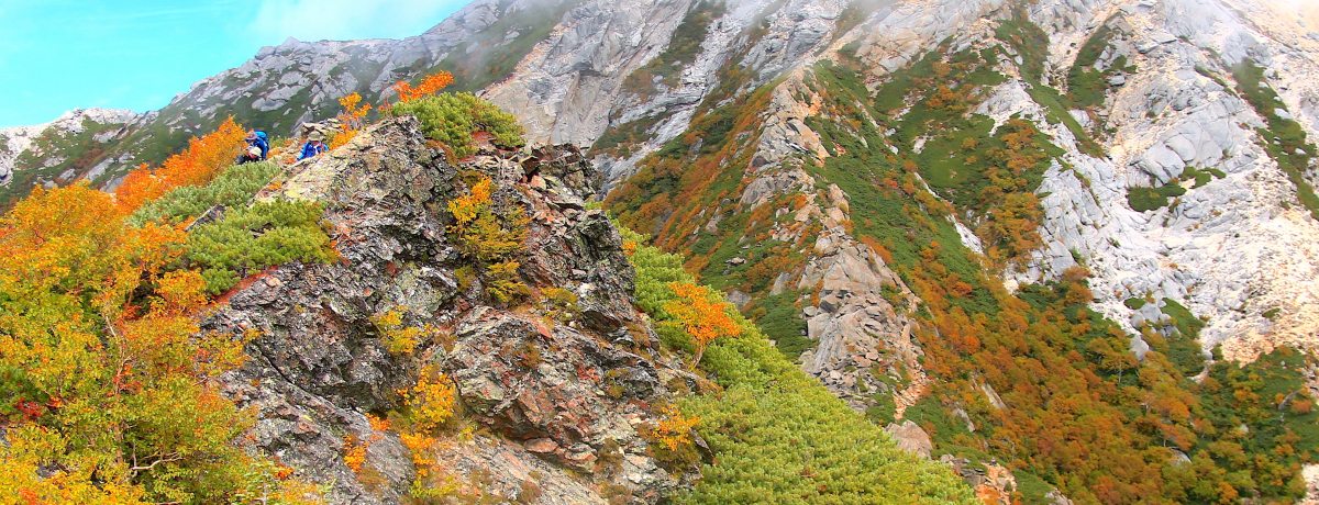 ̊Zɍgt̑IAvX̋Mqubxv̏H