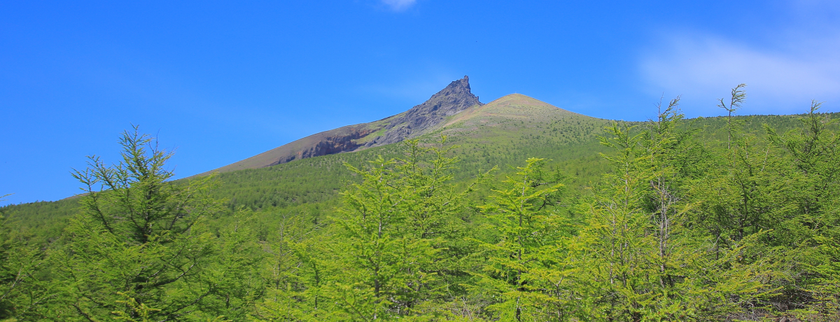 �G��u��x�v��