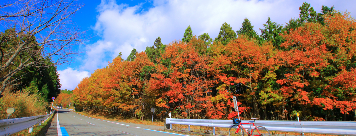 a̎Ru열_XJCCv͍gt֐w̐i