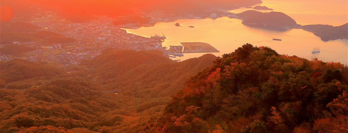 IWZH̑kJIBuꖇvŌՂ̍gt