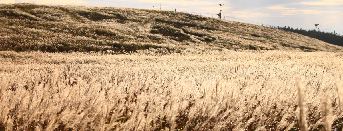 F̃r[iXCƖIH̐MBEinCLO