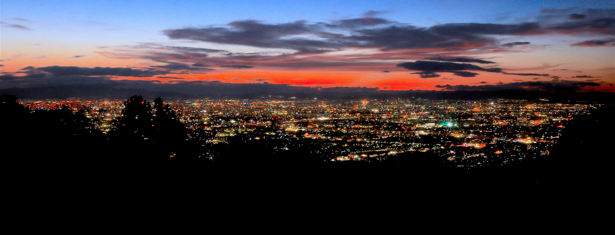 �����I�ȃg���C���C�g��i�I���u�\�O���v���猩���i�p�m���}