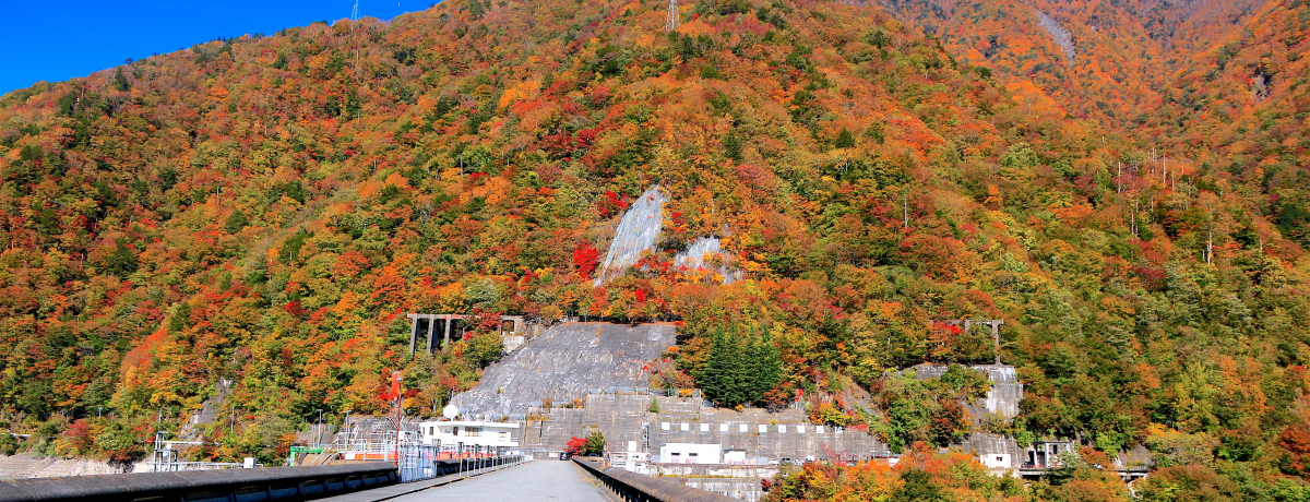 AvX̍gtɕIH̐Éu_vƐԐΉ