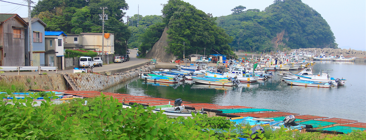 ���؊C�N�ɐ�i�X�|�b�g���I�O�d���u���u���v�ŉ߂��������̓���