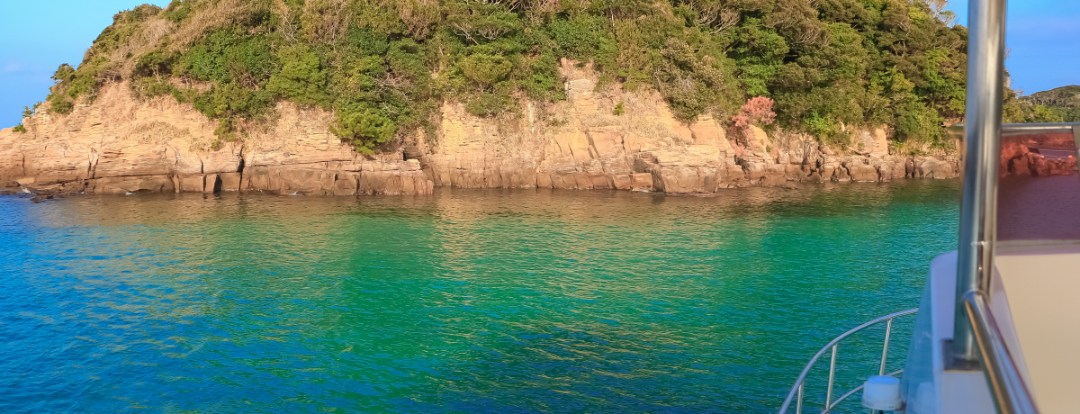 򂩂疳l֏㗤IVDŌuCmvTy