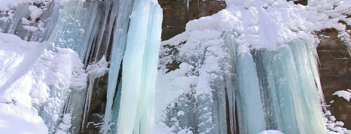 ꂽ~̐iIXukvXeXgbLO