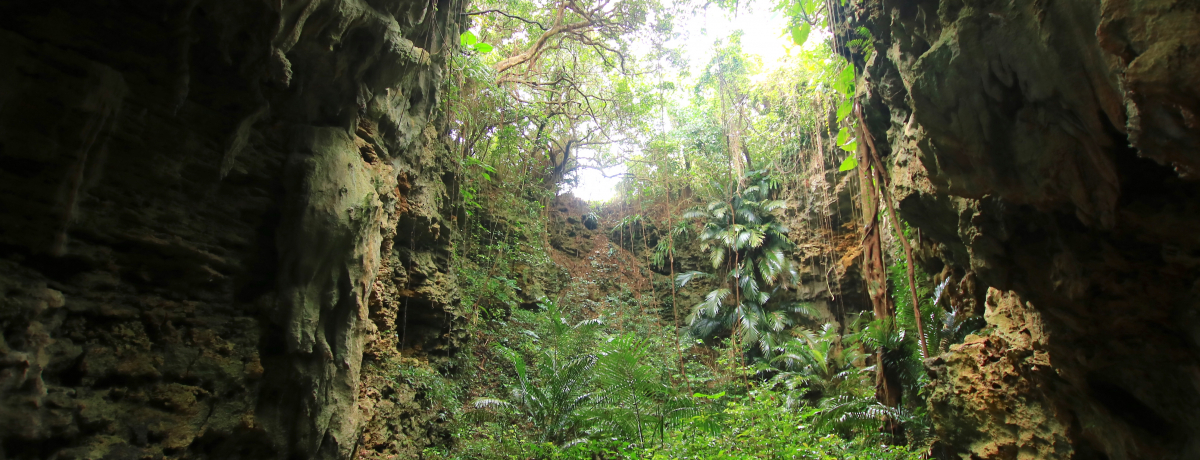 vē̒nEuW[K}vm̓ATAhx`[