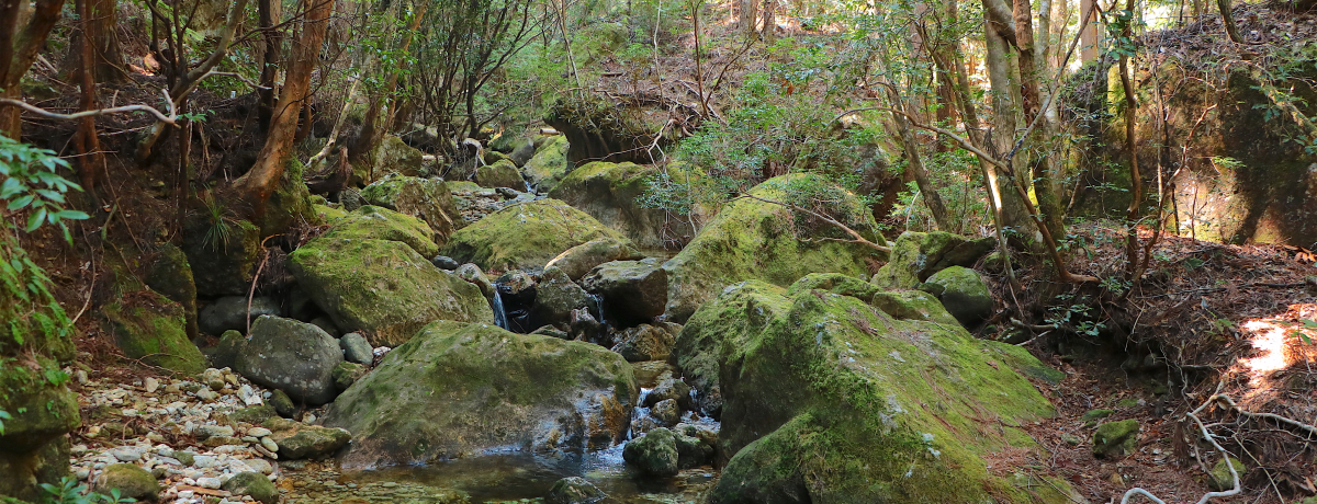 m̉v!?Vu⋬vŔ鋫̌knCLO