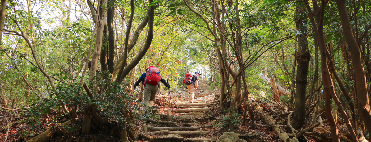 m̍R!?LcEˁuRvőuȗRnCLO