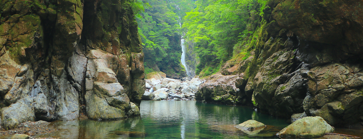 Odɂ{O勬Ju吙Jv{w̔鋫oR֒߁I