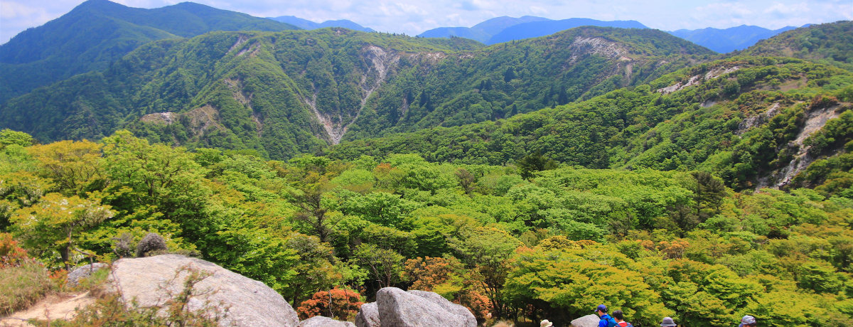 �܂�œ��{�A���v�X�H�鎭�u�߉ރ��x�v�k��������p�m���}�c���o�R