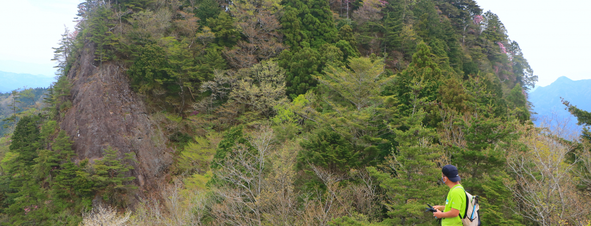 ������o�R���I���C���R�����̍œ�u���R���_�R�v��