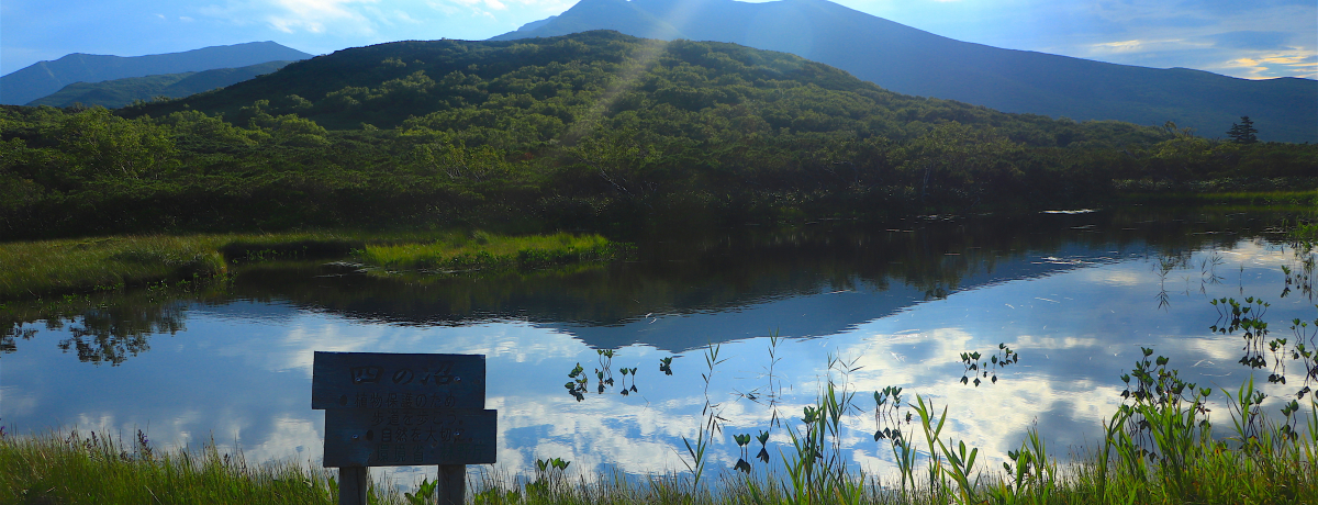 ������̒m���܌�!?�k�C���u���P�΁v��i�̌Ώ��n�C�L���O