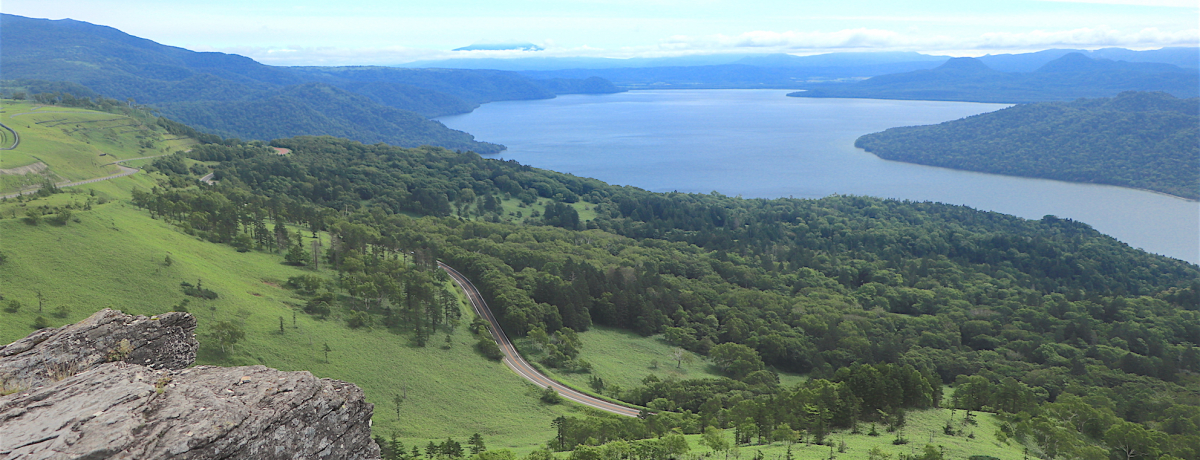 ΘH΂̃pm}ɊIkC̐iuyv