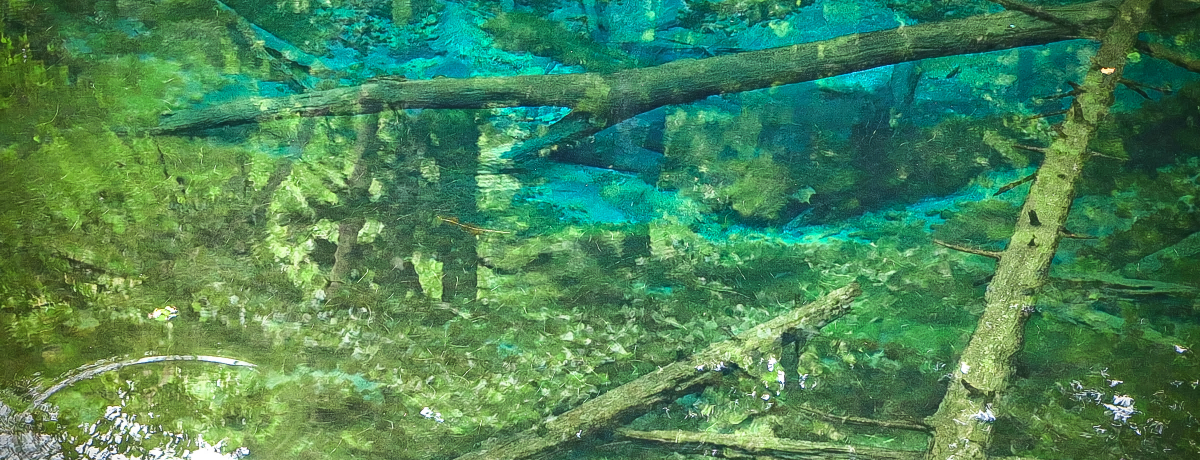 kCE΂ւ_̐iIu_̎qrvɌF