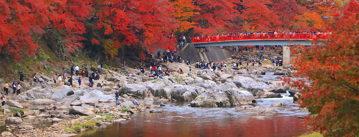 ���m�E�O�͂̍g�t�����u�����k�v���G�ł���i�𖞋i����U���@